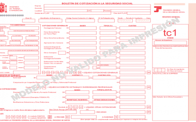 Elegir la base de cotización del autónomo