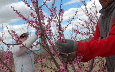 Reducciones de Seguridad Social a favor de determinados familiares del titular de la explotación agraria