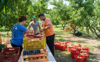 Jornadas Informativas sobre Trabajos Agrícolas en Cieza