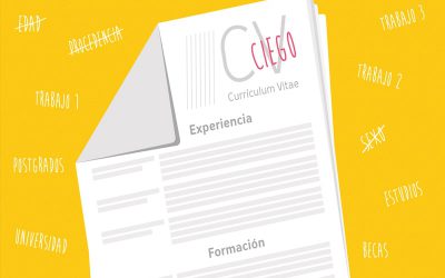 La Ministra de Igualdad aboga por El ‘currículum ciego’